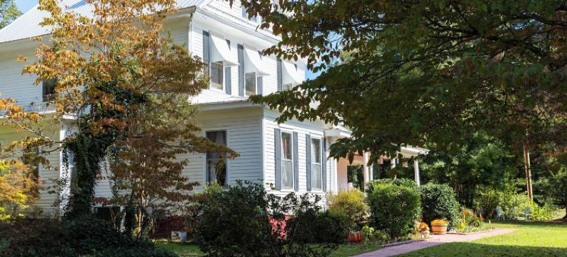 全心民宿(Whole Hearts Bed and Breakfast)图片