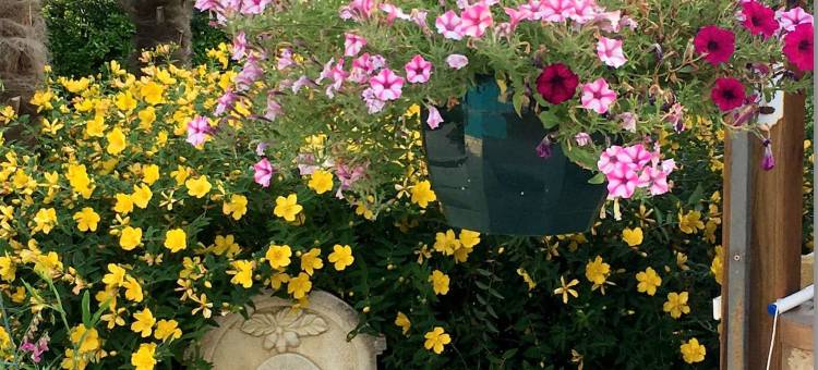 波泽朗迪区民宿(Chambres d'Hotes de Pouzelande)图片