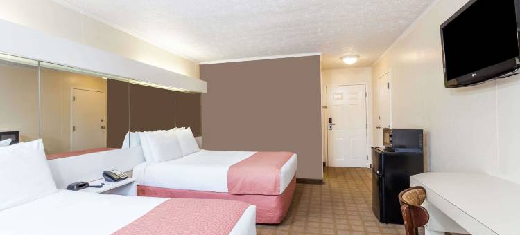 威尔逊麦客达套房酒店(Microtel Inn & Suites by Wyndham Wilson)图片