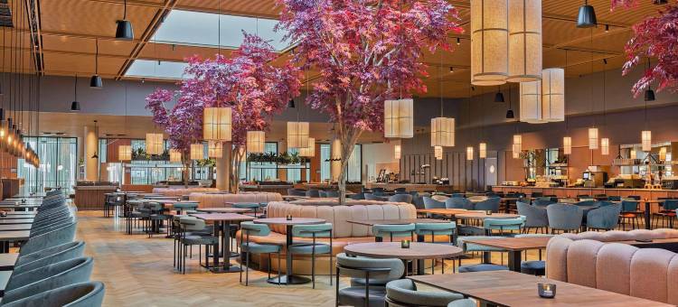 赫尔辛基机场克莱利恩酒店(距离赫尔辛基20公里)(Clarion Hotel Helsinki Airport (20 km from Helsinki))图片
