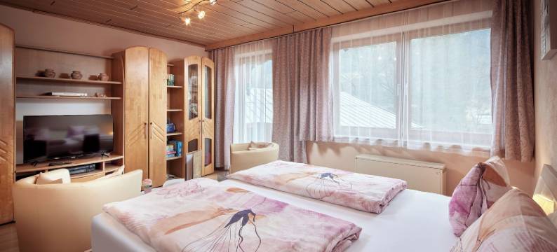 黑尔巴德波维斯酒店(Pension Heilbad Burgwies)图片