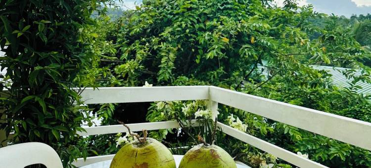 帕拉瓜酒店(Paragua)图片