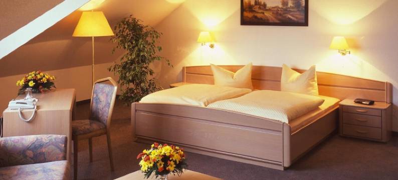 特来贝尔托酒店(Hotel Trebeltal)图片