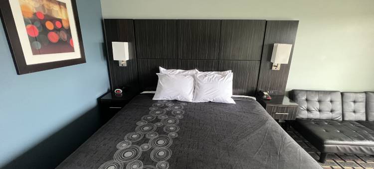 行政酒店(Executive Inn)图片