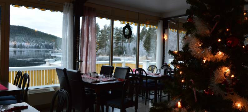 卢格内特马隆酒店(Lugnet Malung Hotell)图片