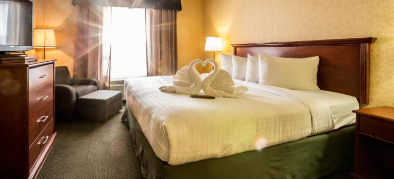 美利特套房酒店(Merit Hotel & Suites)图片