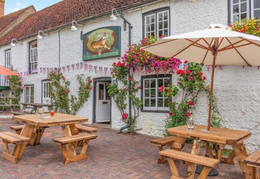 Tiger Inn - Catherine Hotel Overview