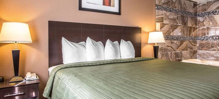 凯艺套房酒店(Quality Inn & Suites)图片