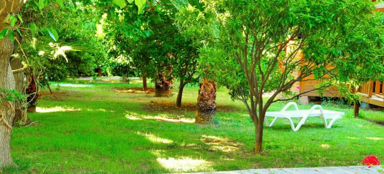 斯姆格旅馆(Simge Pension)图片