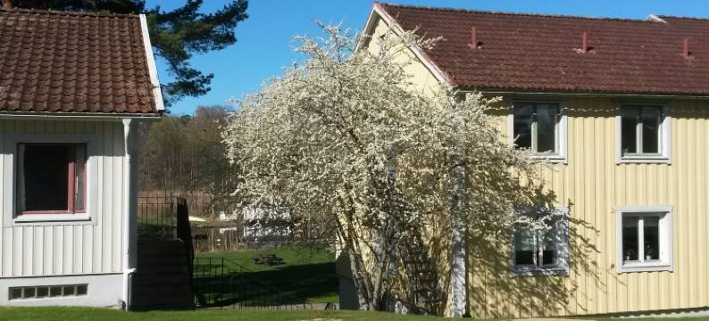 Solviken流浪者之家&会议 - 青年旅舍(Solviken Vandrarhem & Konferens - Hostel)图片