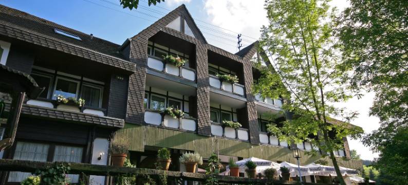 拉曼土地酒店(Landhotel Laarmann)图片