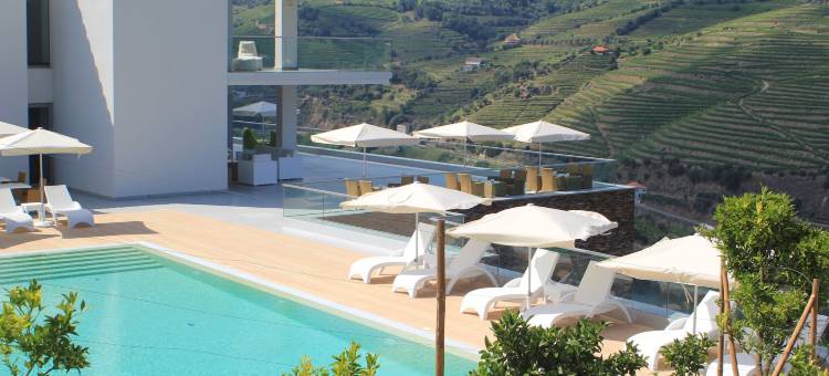德尔芬杜罗酒店(Delfim Douro Hotel)图片