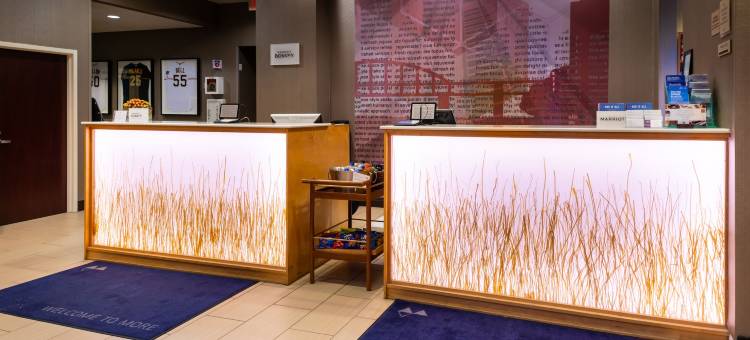 匹兹堡北岸万豪SpringHill Suites 酒店(SpringHill Suites Pittsburgh North Shore)图片