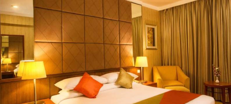 加奇保利艾拉亚酒店(Ellaa Hotel Gachibowli)图片