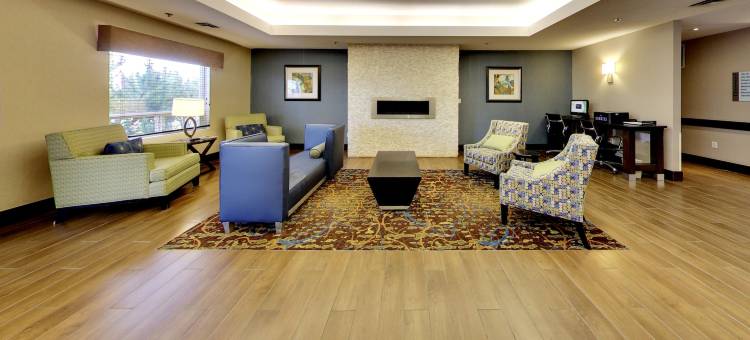 智选假日套房酒店埃德蒙顿国际机场(Holiday Inn Express & Suites Edmonton-International Airport)图片