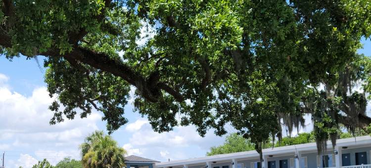 南奥克斯酒店 - 圣奥古斯丁(Southern Oaks Inn - Saint Augustine)图片