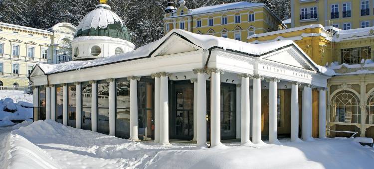 恩萨纳蝴蝶酒店(Ensana Butterfly)图片