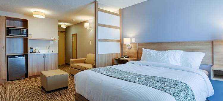 卡斯尔曼麦客达套房酒店(Microtel by Wyndham Casselman)图片