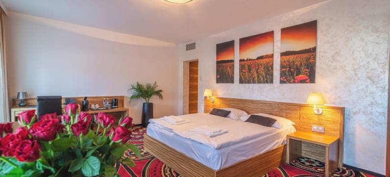 柯吉纳上将娱乐场及酒店(Casino & Hotel Admiral Kozina)图片