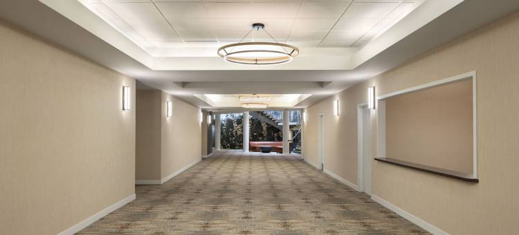 南埃德蒙顿福朋喜来登酒店(Four Points by Sheraton Edmonton South)图片