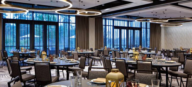 休斯敦城市广场斯普林伍德村万豪酒店(Houston CityPlace Marriott at Springwoods Village)图片
