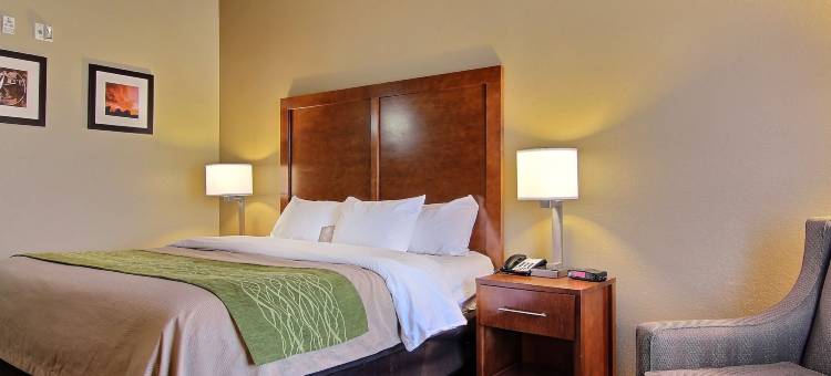 南米德兰I-20舒适酒店(Comfort Inn Midland South I-20)图片
