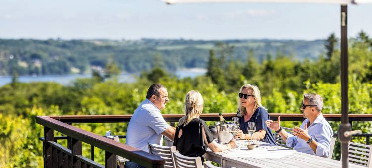 蒙克耶格酒店(Munkebjerg Hotel)图片
