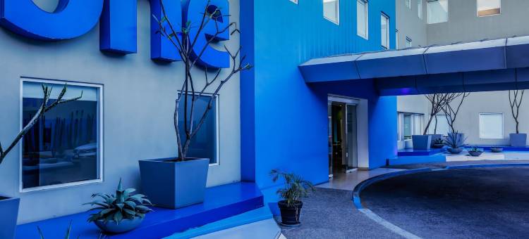 瓦哈卡One酒店(One Oaxaca Centro)图片