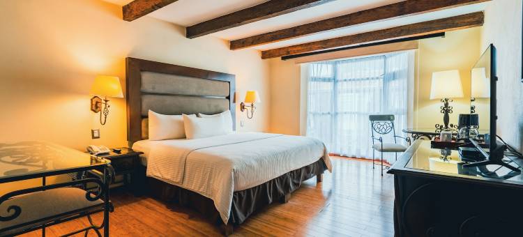 梅赛德斯圣克里斯托瓦尔别墅酒店(Hotel Villa Mercedes San Cristobal)图片