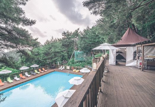 Couplestar in Forest Glamping Hotel Overview