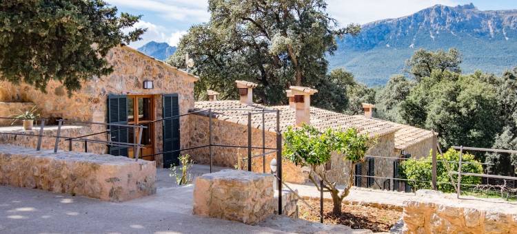 松阿尔兹内斯农家乐(Agroturismo Son Alzines)图片