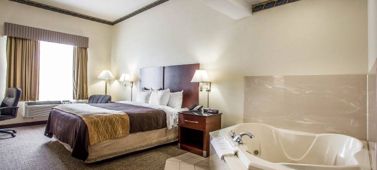 杰克逊堡梅因盖特舒适套房酒店(Comfort Inn & Suites FtJackson Maingate)图片