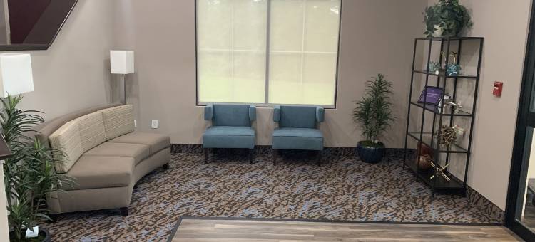 加利福尼亚州MD睡眠套房酒店(Sleep Inn & Suites California MD)图片