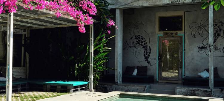 洛泰德冲浪营龙目岛(LoTide Surf Camps Lombok)图片