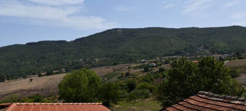 DIMORA 松露(DIMORA IL TARTUFO)图片