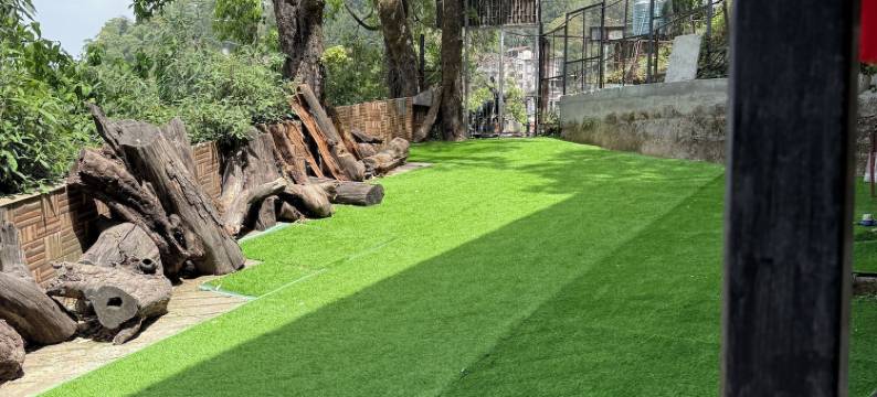 印度酒店(Hotel India)图片