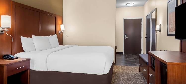 勒琼营附近舒适全套房酒店(Comfort Suites Near Camp Lejeune)图片