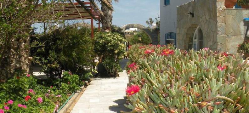 瑞姆威开放式公寓酒店(Remvi Studios)图片