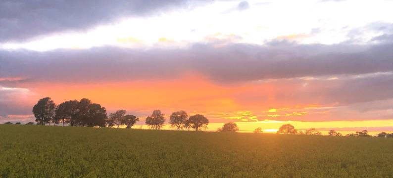 Villa Maria花园小屋(Villa Maria Garden Cottages, Helsingborg)图片