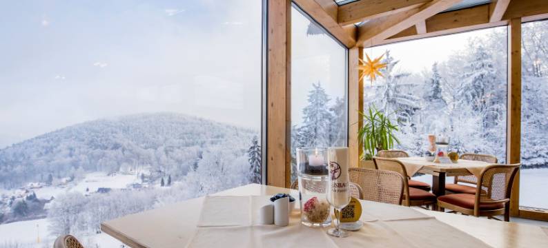 胡贝塔斯鲍德酒店(Hubertusbaude)图片