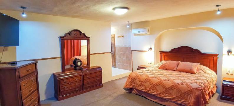 埃尔诺加利托酒店(Hotel El Nogalito)图片