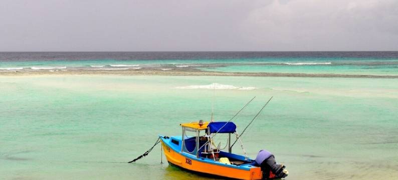 'Villa Jarrow',Beach Front, Beautiful Victorian Restored Property图片