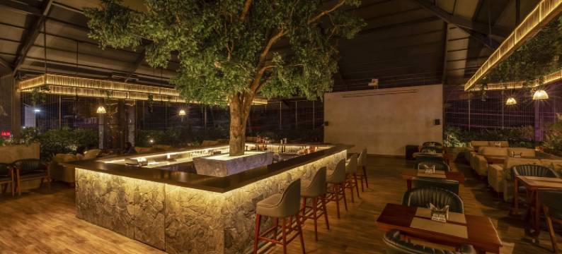 Treebo Kumily Gate Thekkady图片