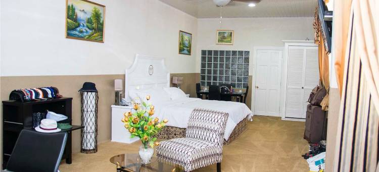千禧庄园酒店(Millenium Manor Hotel)图片