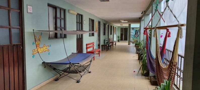 草地兔子青年旅舍(Hierba de Conejo Hostel)图片