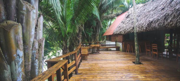 羽叶棕榈河畔小屋酒店(Cohune Palms River Cabanas)图片
