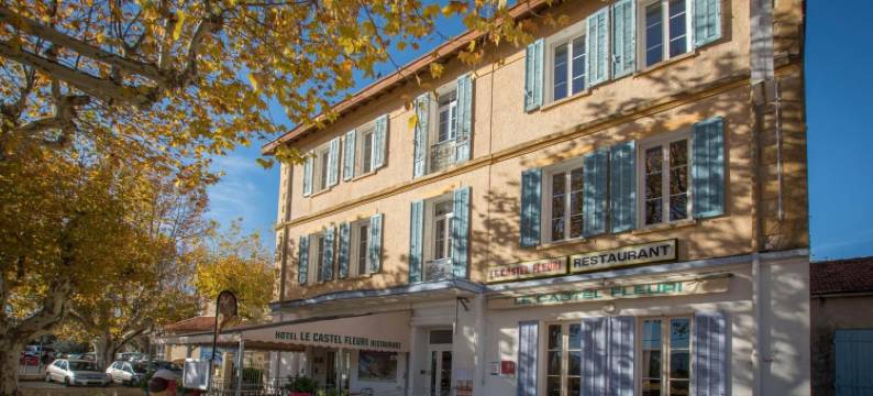 花卉城堡餐厅酒店(Hotel Restaurant le Castel Fleuri)图片