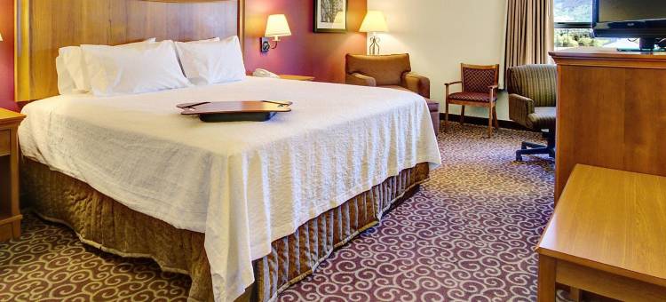 希尔顿欢朋酒店-波由特(Hampton Inn Butte)图片