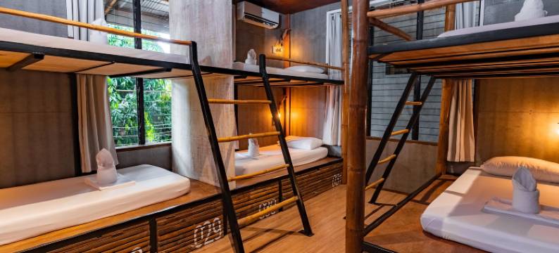 飞鱼青年旅馆(The Flying Fish Hostel)图片