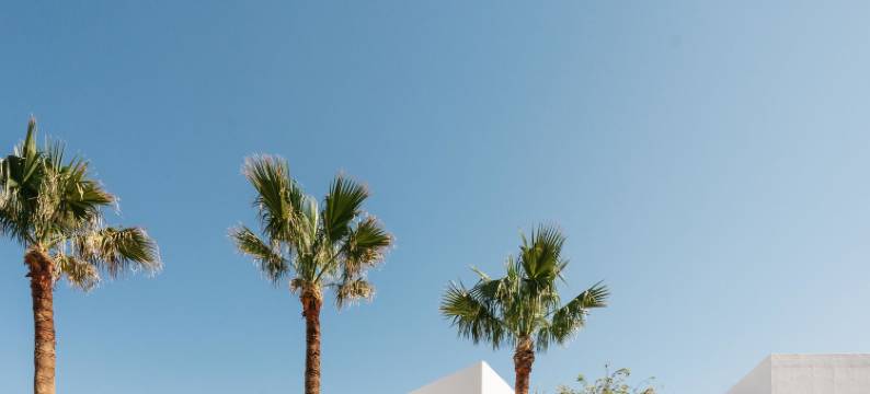 佩特拉第海滩休闲公寓式酒店(Petradi Beach Lounge Hotel)图片